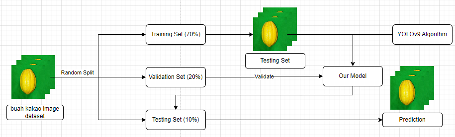 Model YOLOv9 Identification Cocoa pests and diseases